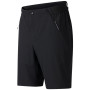Чоловічі шорти Dare 2b Torrek Lite Short