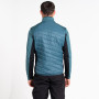 Чоловіча жилетка Dare 2b Gendarme Wool Vest