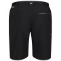 Чоловічі шорти Regatta Xert Stretch Shorts III