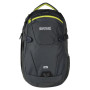 Міський рюкзак Regatta Paladen 25l сірий Ebony/NeonSp (2C5)