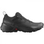 Чоловічі туристичні черевики Salomon Cross Hike 2 Gore-Tex
