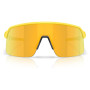 Сонцезахисні окуляри OAKLEY Sutro Lite