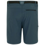 Чоловічі шорти Regatta Xert Stretch Shorts