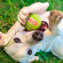 Іграшка для собак Nerf Dog Squeak Tennis Ball 3 pcs