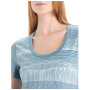 Жіноча функціональна футболка Icebreaker Tech Lite II SS Scoop Tee Reflection Lines