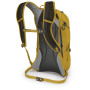 Рюкзак Osprey Syncro 12