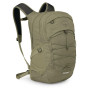 Колір: оливковий