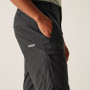 Чоловічі шорти Regatta Highton Shorts Long II