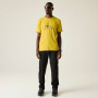 Чоловіча футболка Dare 2b Movement III Tee