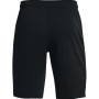 Чоловічі шорти Under Armour Rival Terry Short