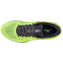 Чоловічі черевики Mizuno Wave Rider 25