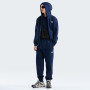 Чоловіча толстовка The North Face M Evolution Simple Dome Regular Full Zip