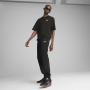 Чоловічі спортивні штани Puma ESS 2 Color No. 1 Logo Sweatpants FL cl