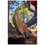Жіночі кросівки New Balance Fresh Foam X More Trail v3