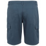 Чоловічі шорти Regatta Ruwan Shorts