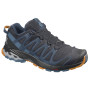 Чоловічі черевики Salomon Xa Pro 3D V8