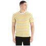 Чоловіча футболка Icebreaker Drayden SS Tee Stripe