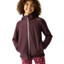 Дитяча софтшелова куртка Regatta Haydenbury Fig