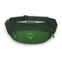 Поясна сумка Osprey Daylite Waist Pack