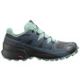 Жіночі черевики Salomon Speedcross 5 GTX W