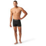 Чоловічі боксери Smartwool M Boxer Brief Boxed