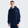 Чоловіча толстовка The North Face M Evolution Simple Dome Regular Full Zip