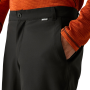 Чоловічі штани Regatta Highton WP Trousers