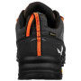 Чоловічі туристичні черевики Salewa Alp Trainer 2 Gtx M