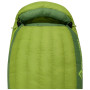 Спальний мішок Sea to Summit Ascent AcII - Regular