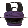 Рюкзак The North Face Hot Shot Se