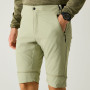 Чоловічі штани Regatta Mountain Z/O Trousers