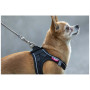 Повідець для собаки Curli Ultra Strong Pocket Leash