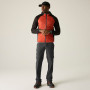 Чоловічі штани Regatta Anti-Insect Travel Light Z/O Trousers