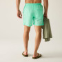 Чоловічі шорти Regatta Mackleyna Swim Short