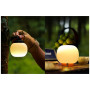 Абажур Flextail Mushroom Lampshade Tiny Pump 2X