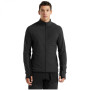 Чоловіча функціональна толстовка Icebreaker Descender LS Zip