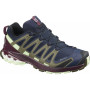 Жіночі черевики Salomon Xa Pro 3D V8 GTX W