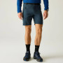 Чоловічі шорти Regatta Xert Stretch Shorts