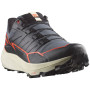 Чоловічі кросівки Salomon Thundercross Gore-Tex