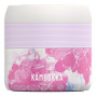 Термос для їжі Kambukka Bora 400 ml