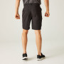 Чоловічі шорти Regatta Dalry Short
