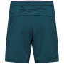 Чоловічі шорти Salewa Pedroc Dst Light Short M