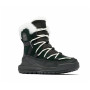 Жіночі зимові черевики Sorel ONA™ RMX GLACY WP