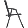Крісло Brunner Aravel Vanchair