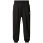 Чоловічі спортивні штани The North Face M Essential Relaxed Straight Jogger