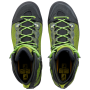 Pánské boty Salewa MS Raven 3 GTX