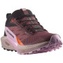 Жіночі кросівки Salomon Sense Ride 5 Gore-Tex