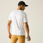 Чоловіча футболка Regatta Fingal Graphic T-Shirt