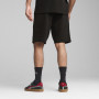 Чоловічі шорти Puma Ess 2 Color Logo Shorts