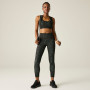 Жіночі легінси Dare 2b Influential II Legging